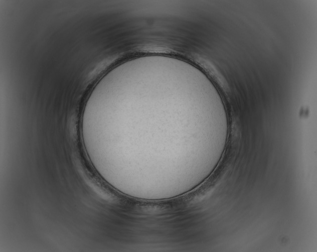 X0000089450533200707131929