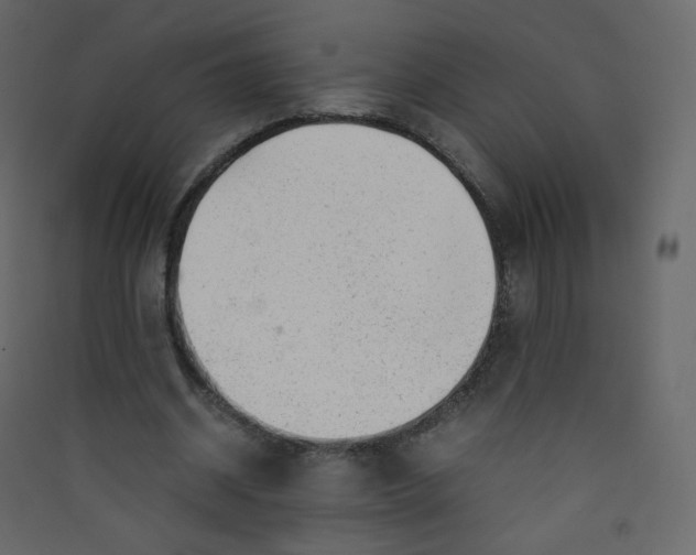 X0000089450534200707131929