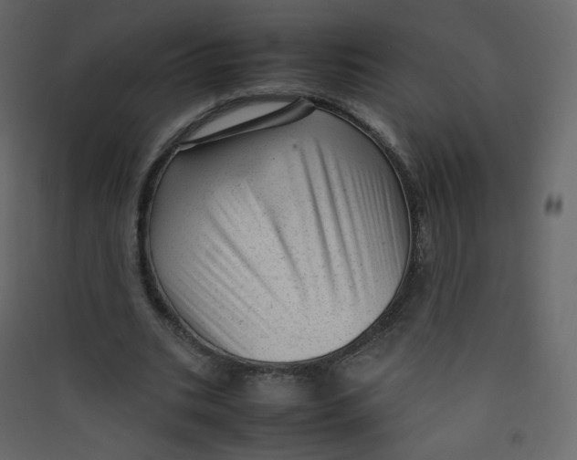 X0000089450535200707131929