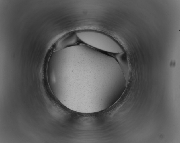 X0000089450536200707131929