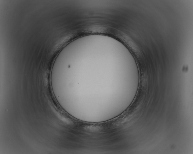 X0000089450537200707131929