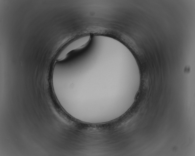 X0000089450538200707131929