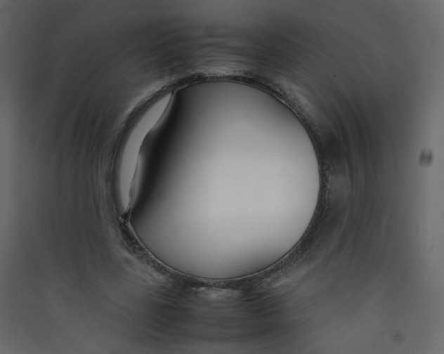 X0000089450539200707131929