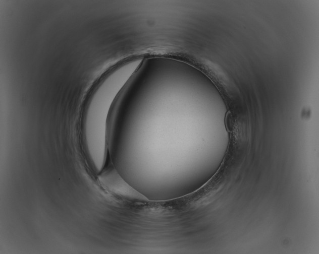 X0000089450540200707131929