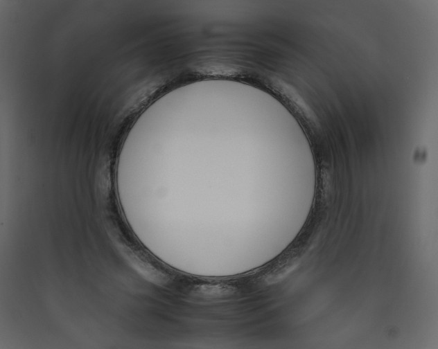 X0000089450541200707131929