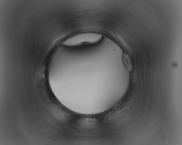 X0000089450543200707131929