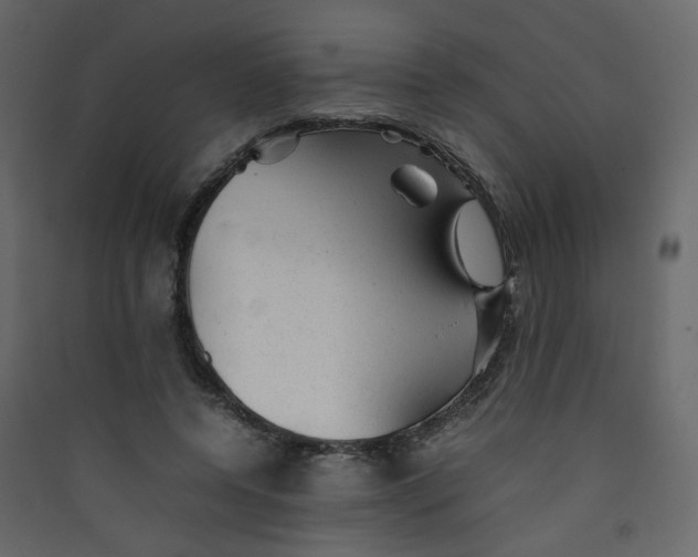 X0000089450544200707131929