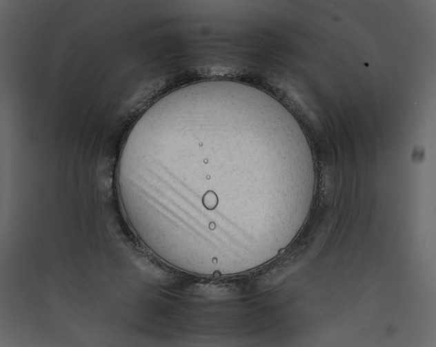 X0000089450545200707131929