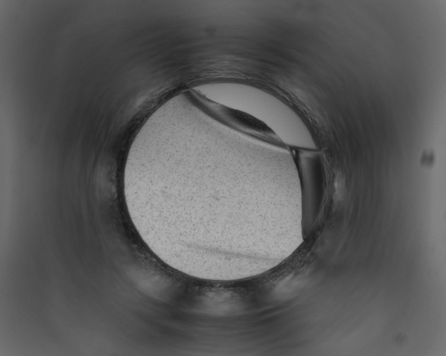 X0000089450547200707131929