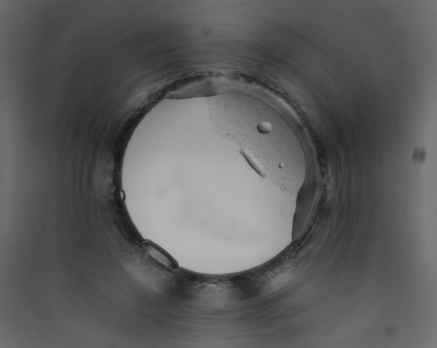 X0000089450548200707131929