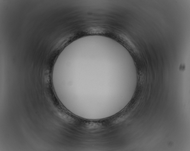 X0000089450549200707131929