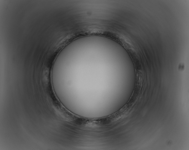 X0000089450550200707131929