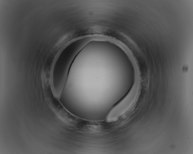 X0000089450552200707131929