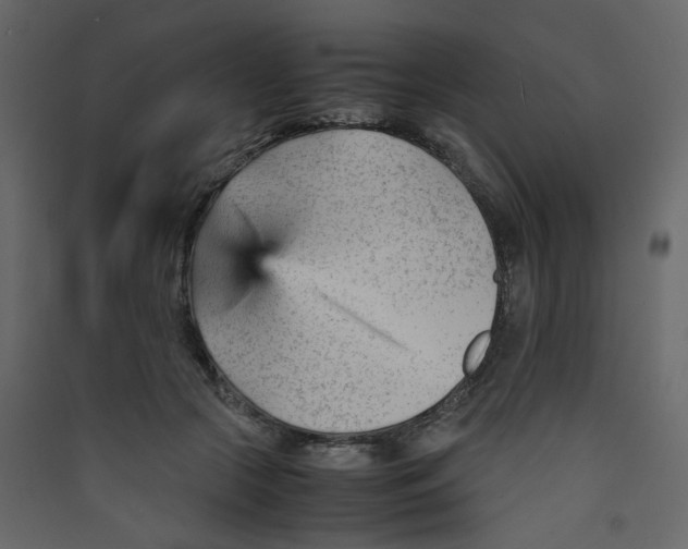 X0000089450553200707131929