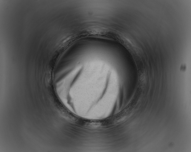 X0000089450554200707131929