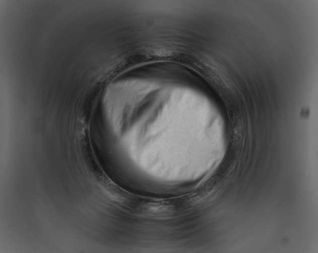 X0000089450555200707131929