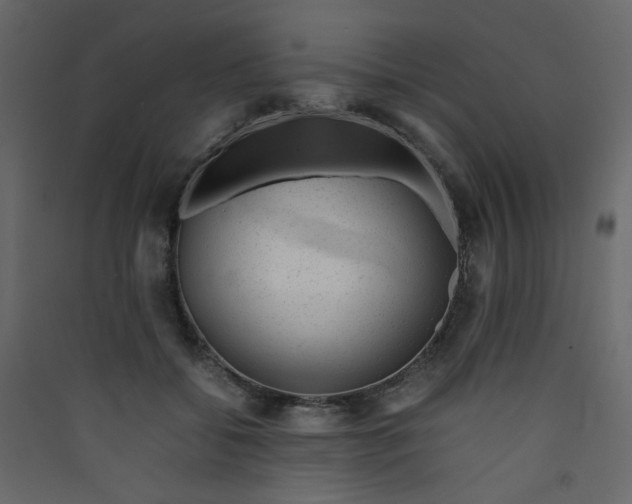 X0000089450556200707131929