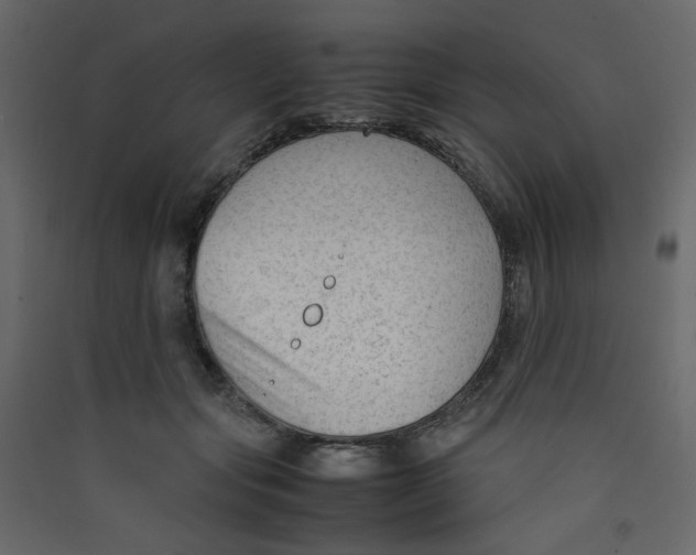 X0000089450557200707131929