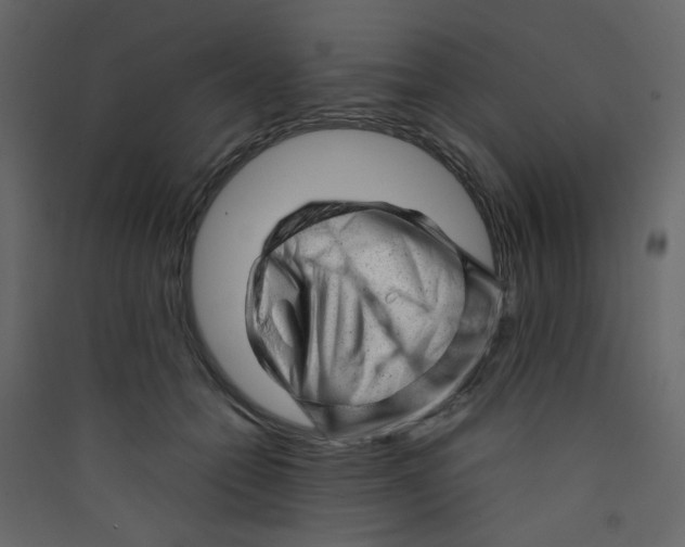 X0000089450558200707131929