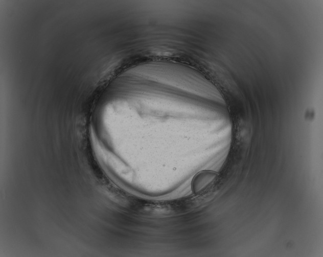 X0000089450559200707131929