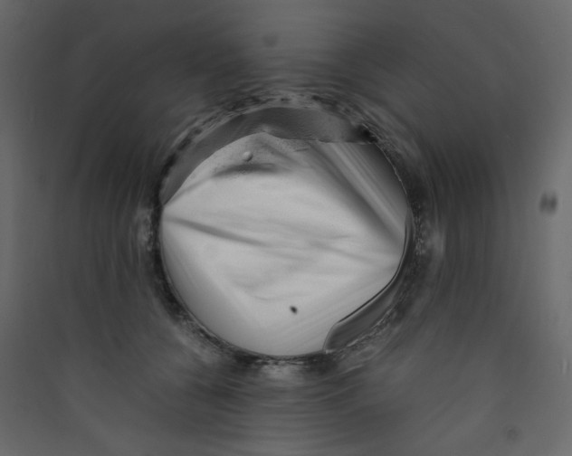 X0000089450560200707131929