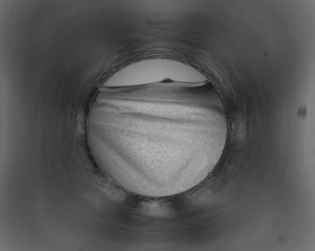 X0000089450561200707131929