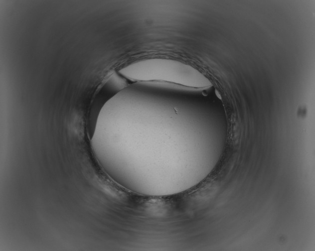 X0000089450562200707131929