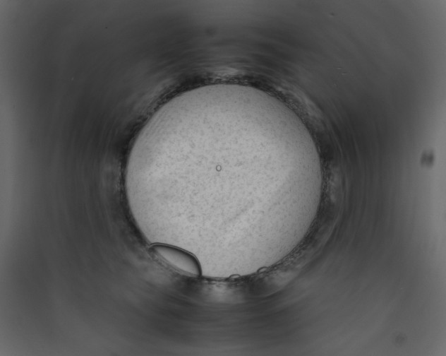 X0000089450565200707131929