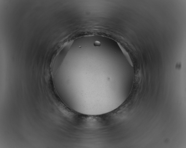 X0000089450566200707131929