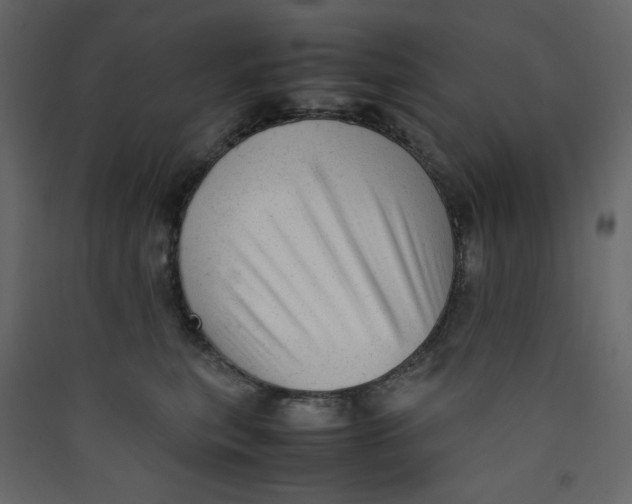 X0000089450567200707131929