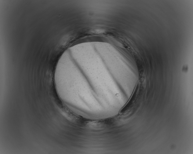 X0000089450568200707131929