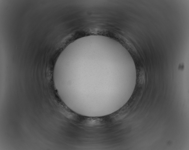 X0000089450569200707131929