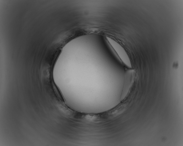 X0000089450570200707131929