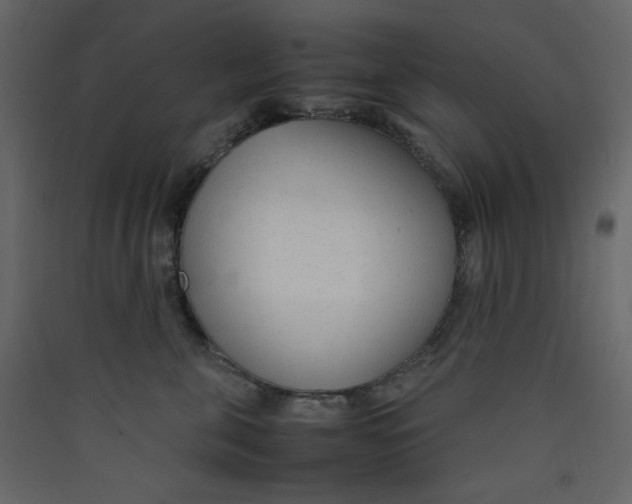 X0000089450571200707131929