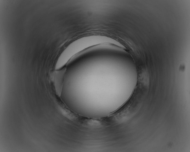 X0000089450572200707131929