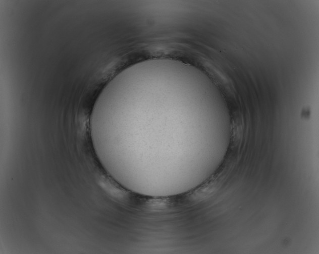 X0000089450574200707131929