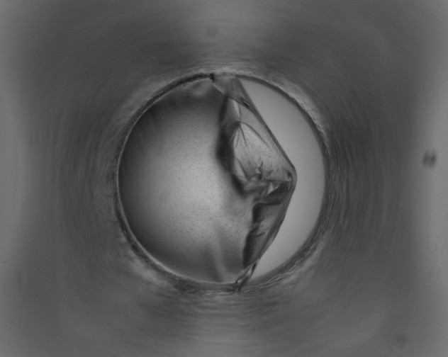 X0000089450577200707131929