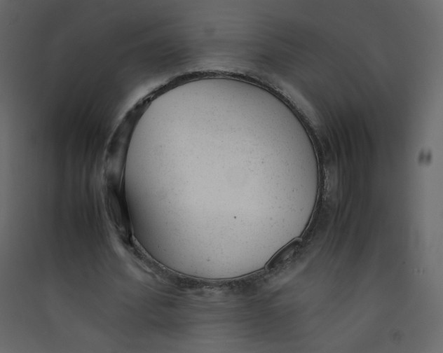 X0000089450580200707131929