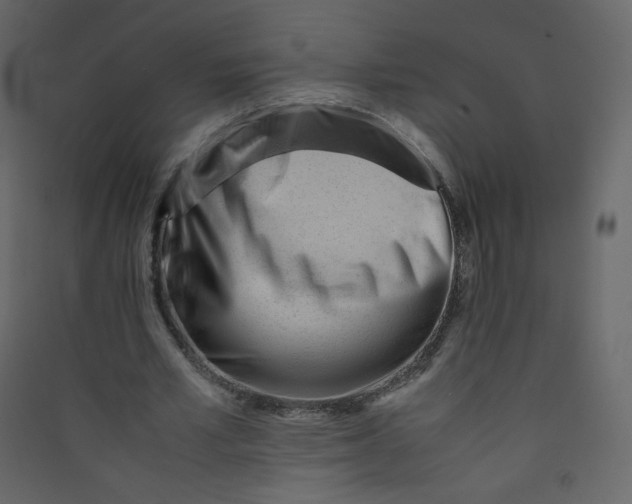 X0000089450581200707131929