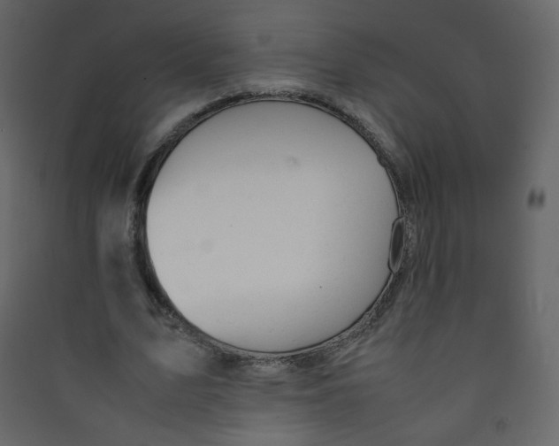 X0000089450583200707131929