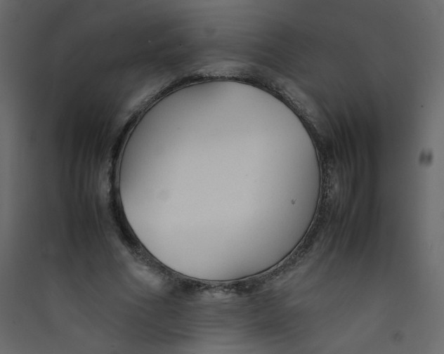 X0000089450586200707131928