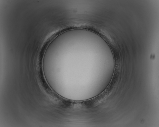 X0000089450587200707131928