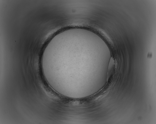 X0000089450588200707131928