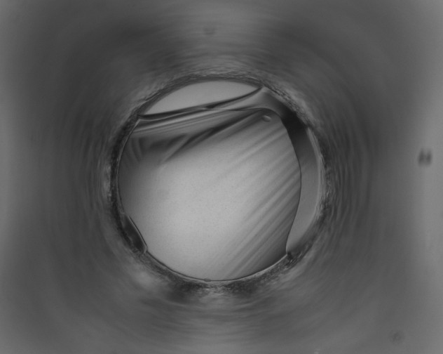 X0000089450589200707131928