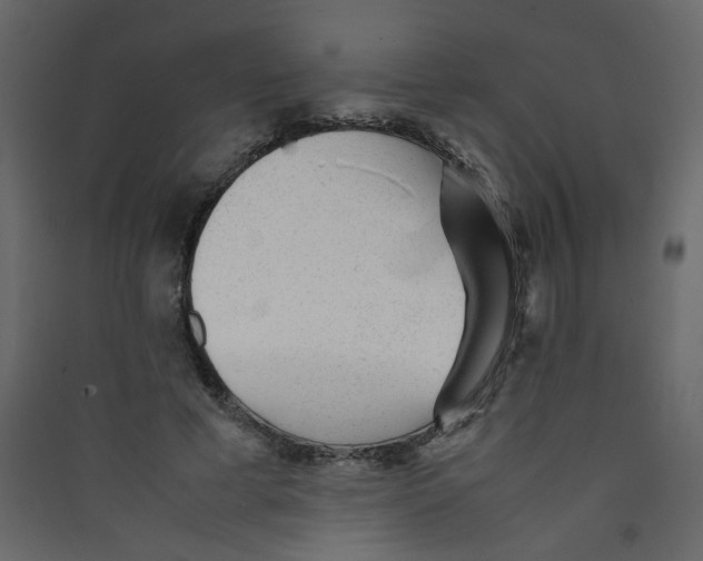 X0000089450593200707131928