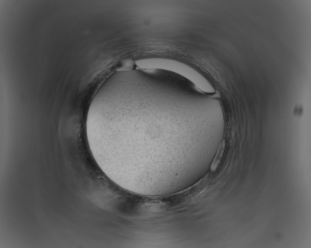 X0000089450595200707131928