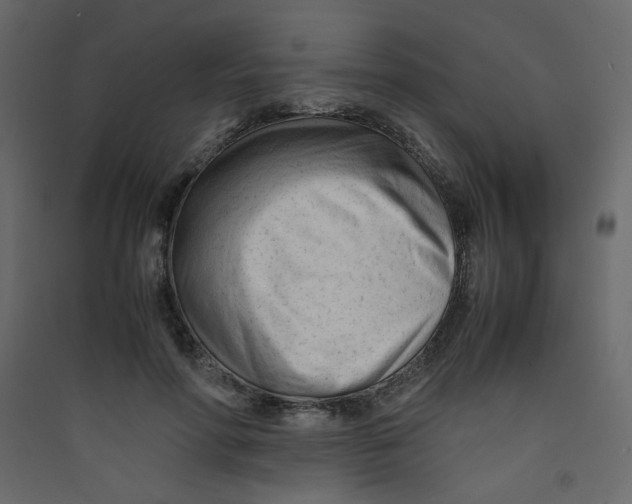 X0000089450598200707131928