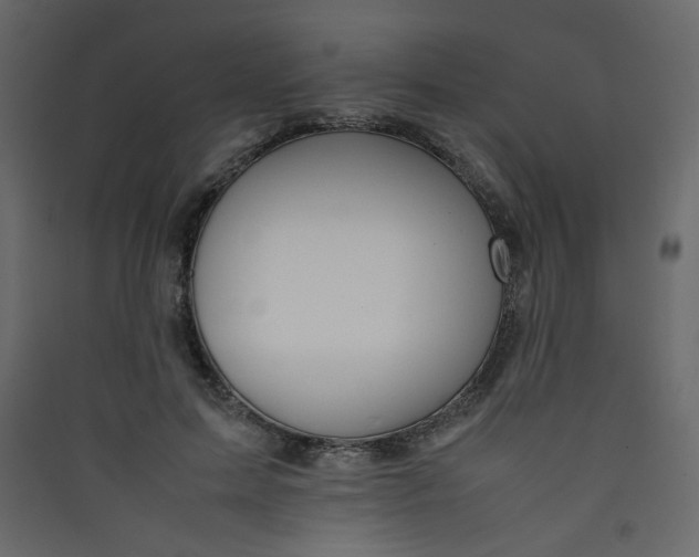 X0000089450599200707131928