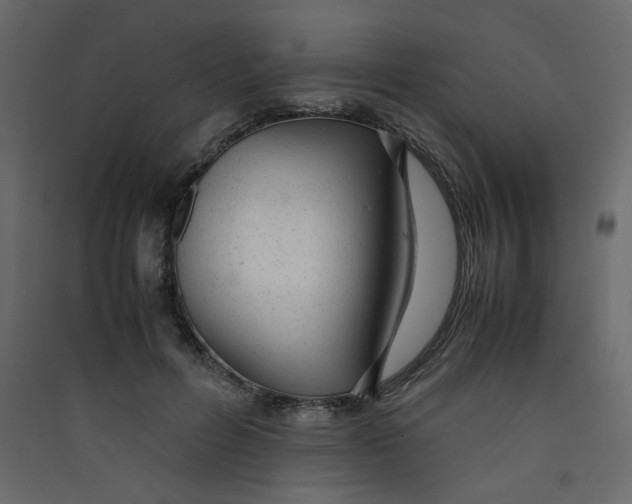 X0000089450600200707131928