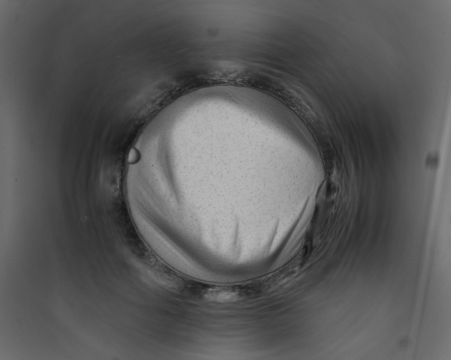 X0000089450602200707131928